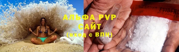 амф Белокуриха
