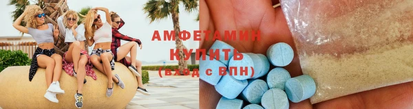 сатива Беломорск