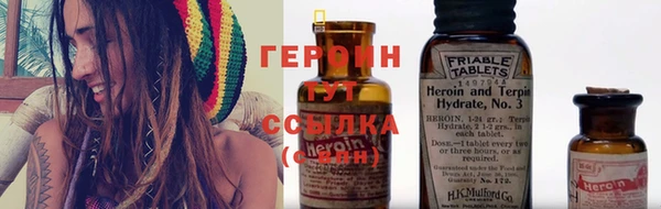 сатива Беломорск