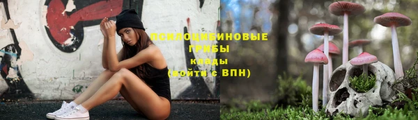 гидра Белоозёрский