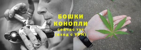 амф Белокуриха