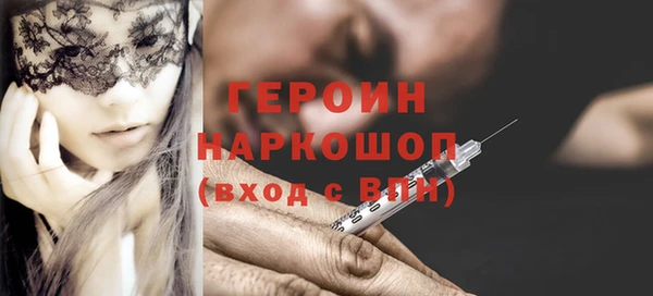 сатива Беломорск