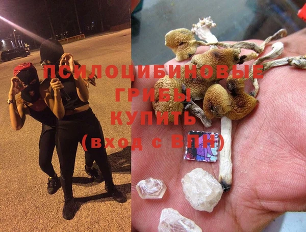 амф Белокуриха