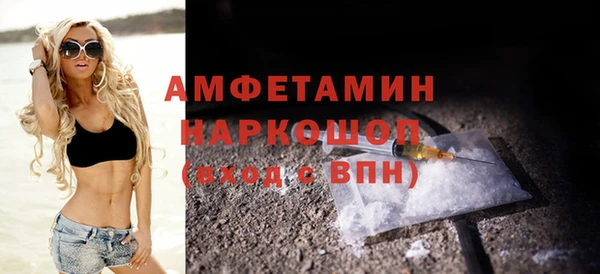сатива Беломорск