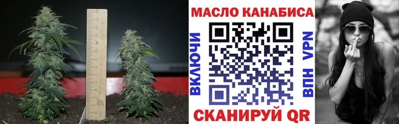 ТГК гашишное масло  наркошоп  Пикалёво 