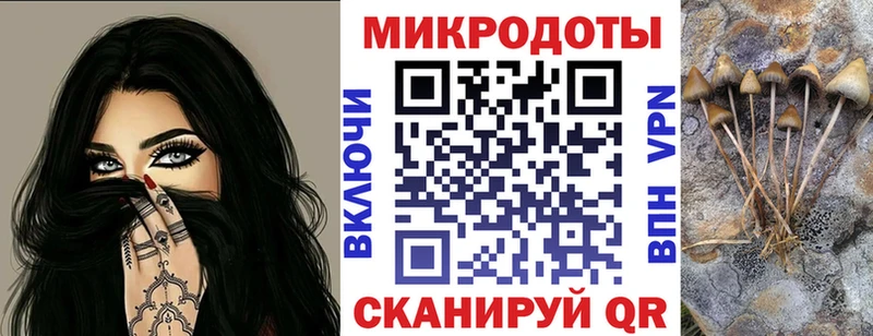 Галлюциногенные грибы Psilocybine cubensis  Пикалёво 